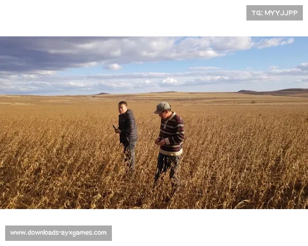 MQBA篮球联赛在莫力达瓦举行,体育激情四季不断 MQBA篮球联赛在莫力达瓦举行,体育激情四季不断