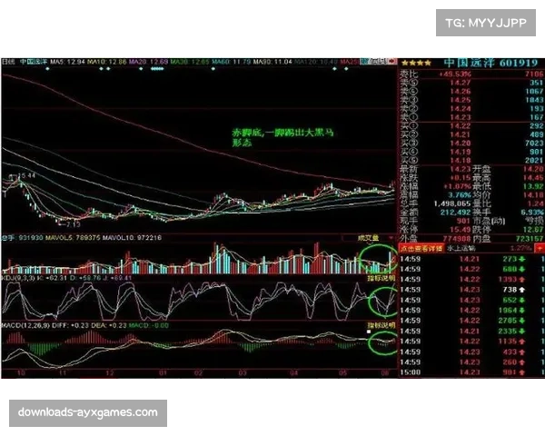 战术板：解析莫塔治下博洛尼亚的3-5-2体系，如何成为意甲最大黑马
